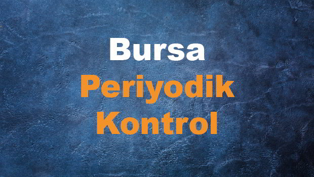 Bursa Periyodik Muayene Ve Kontrol