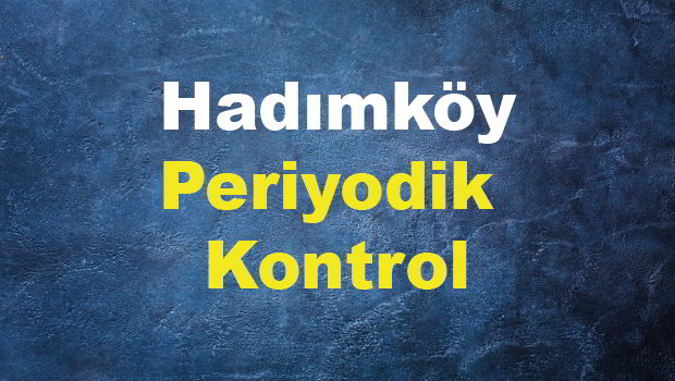 Hadımköy Periyodik Kontrol 