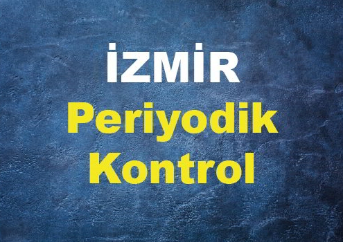 İzmir Periyodik Kontrol